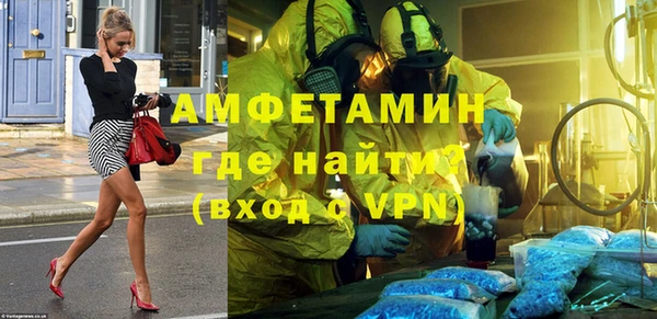 индика Верея